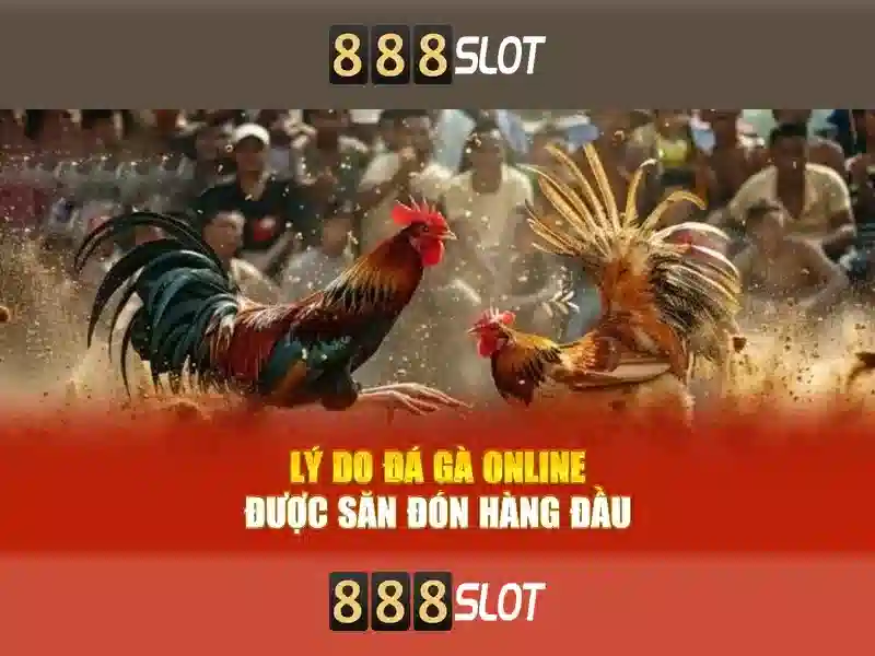 Các trò chơi và trải nghiệm