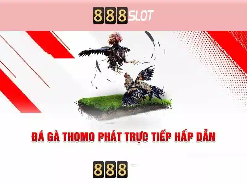 888slot - Trải nghiệm casino trực tuyến hàng đầu tại Việt Nam