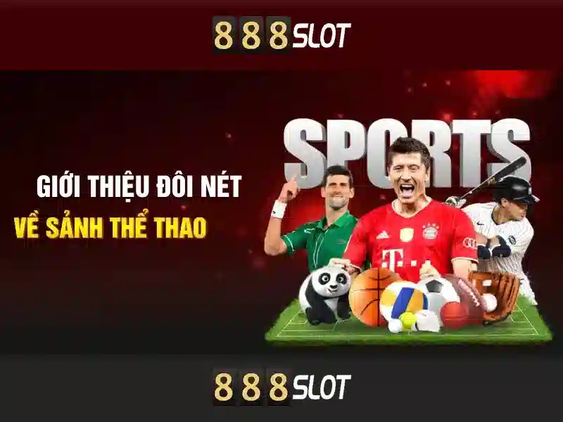 Hỗ trợ khách hàng và trải nghiệm người dùng