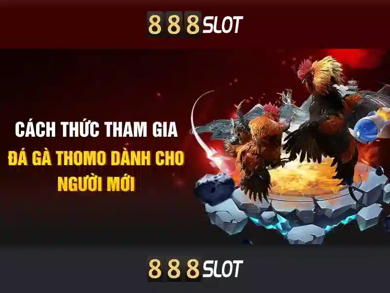 888slot - Đánh giá tổng quan về nền tảng trò chơi trực tuyến