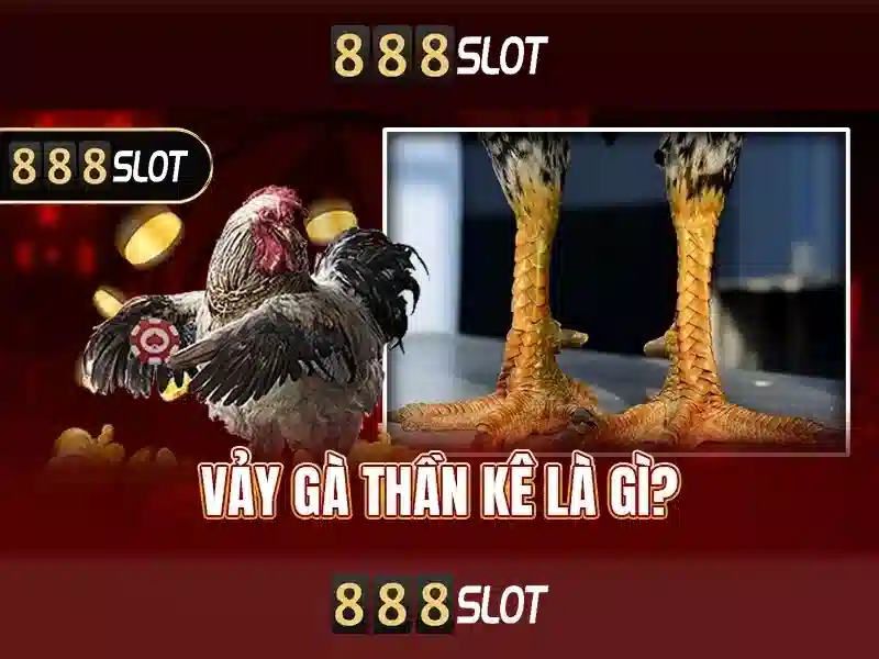 Giới thiệu về 888slot