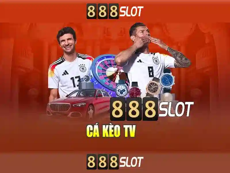 Đặc điểm nổi bật