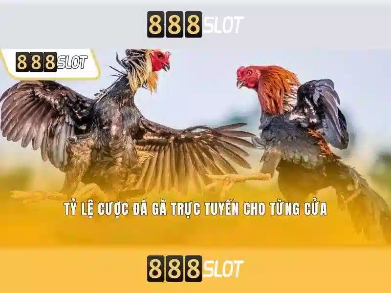 Ưu đãi và thanh toán an toàn