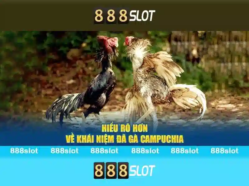 888slot - Đánh giá và trải nghiệm slot trực tuyến tuyệt vời
