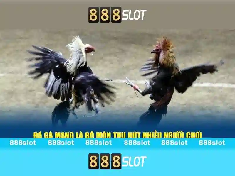 888slot - Đánh giá và Hướng dẫn chơi Slot trực tuyến