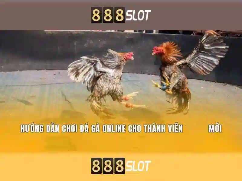 888Slot - Nền tảng đánh bạc trực tuyến hiện đại