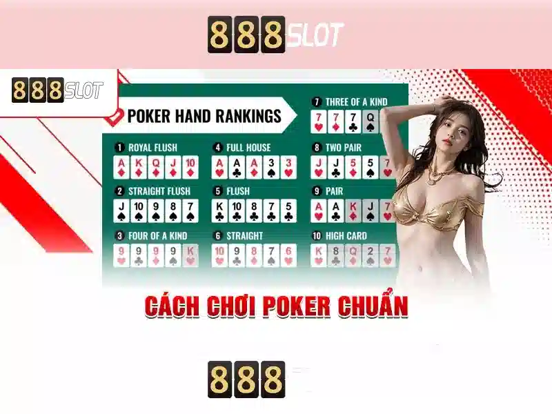 An toàn và hỗ trợ người dùng