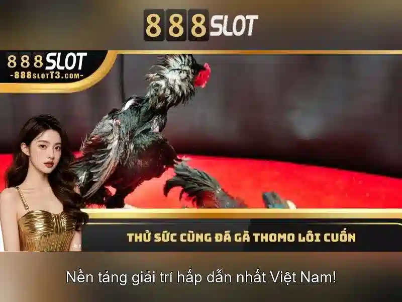 Hướng dẫn đăng ký và nhận thưởng