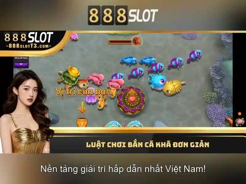 An toàn thanh toán và hỗ trợ người dùng
