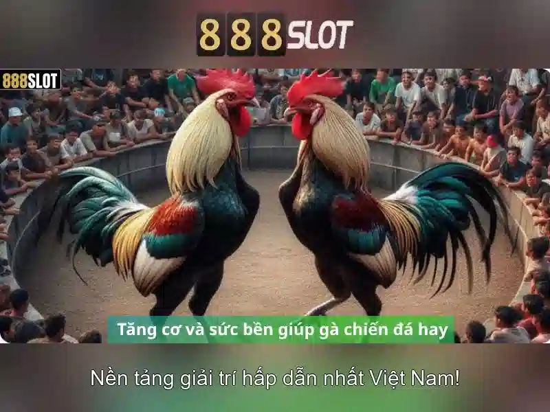 Khuyến mãi và chương trình thưởng
