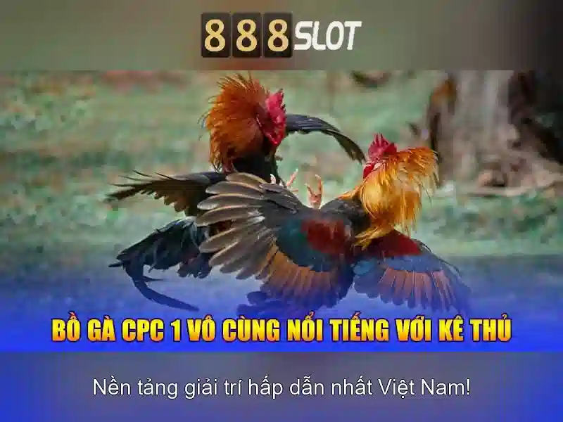 888slot: nền tảng cá cược trực tuyến đáng tin cậy