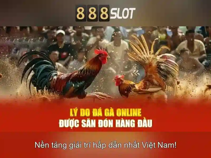 Trải nghiệm người dùng và giao diện
