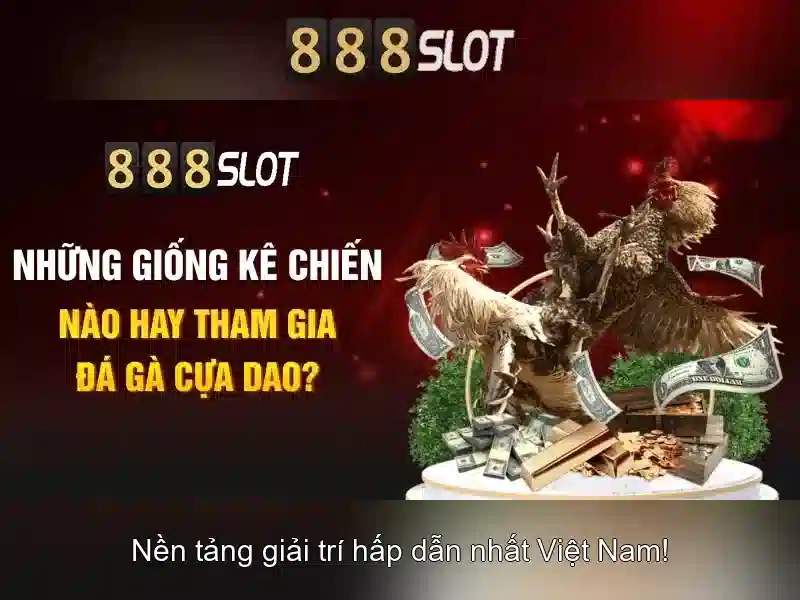 Hướng dẫn quản lý tài khoản và giao dịch