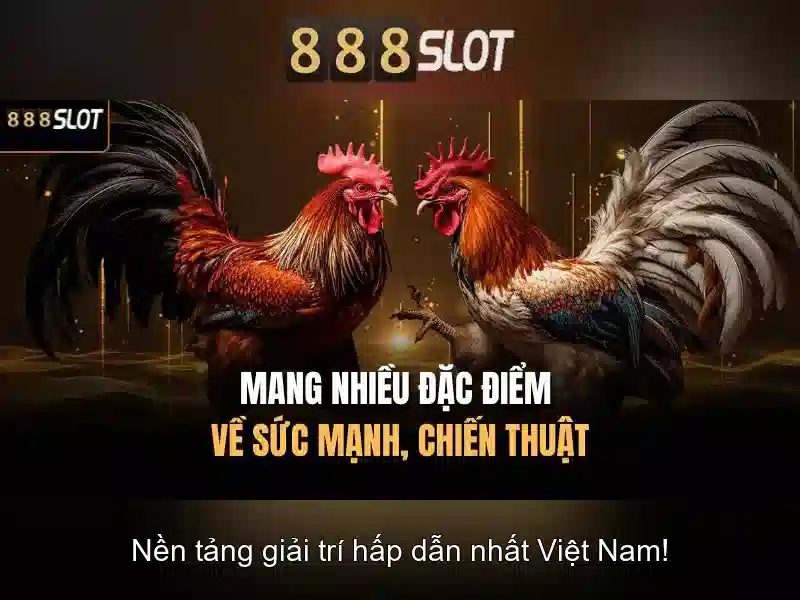 Danh mục trò chơi và nhà cung cấp