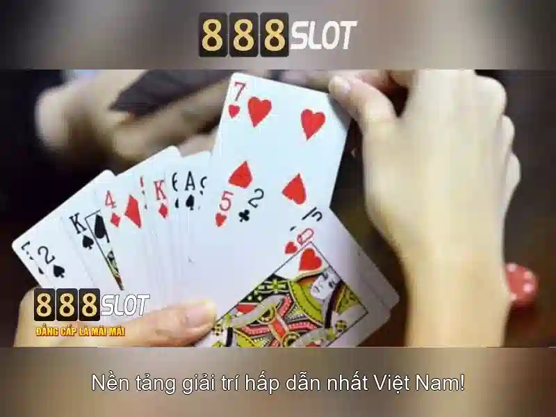 An toàn và hỗ trợ người chơi