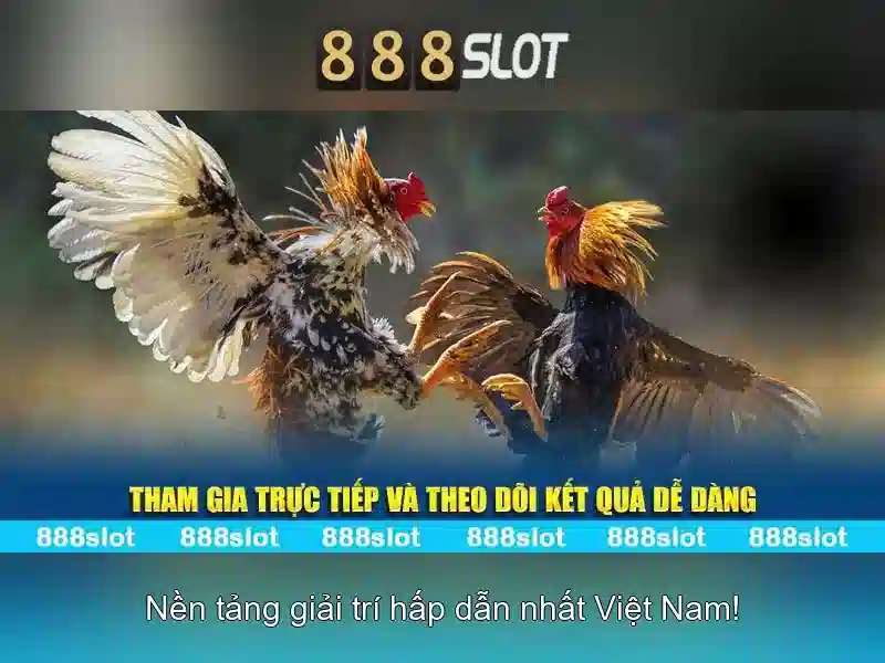 Giới thiệu về 888Slot
